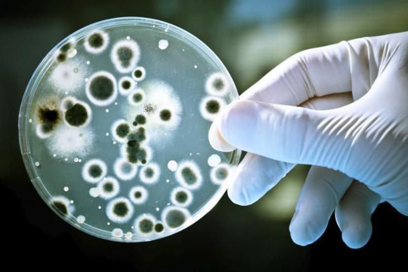 INCAN aplica tecnología contra bacterias