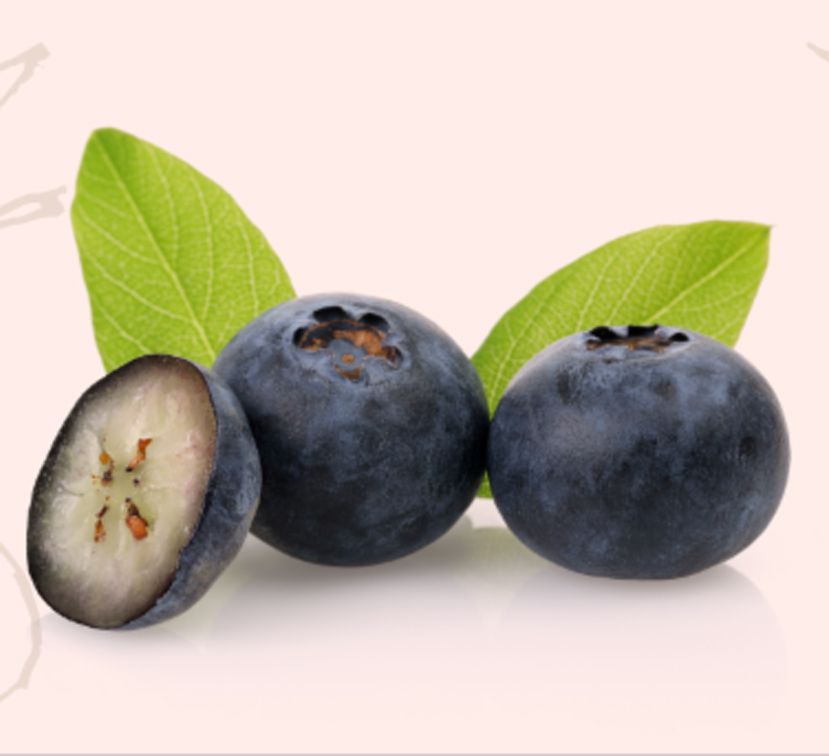 Cinco razones para comer Blueberries