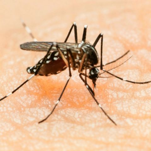 Colombia hace campaña contra el Zika