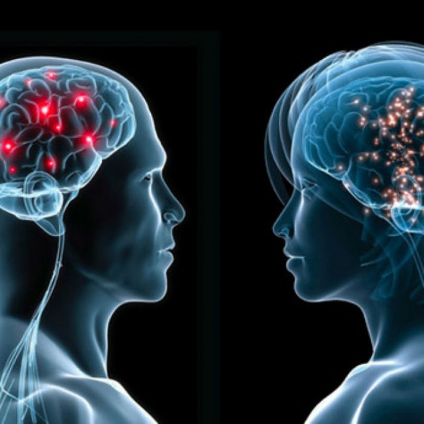 Cerebro de mujeres y hombres: igual por estrés