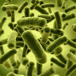 Mejorar la microbiota ayuda a pacientes de VIH