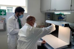 Aval de OMS a vacuna AstraZeneca respalda solidez de México