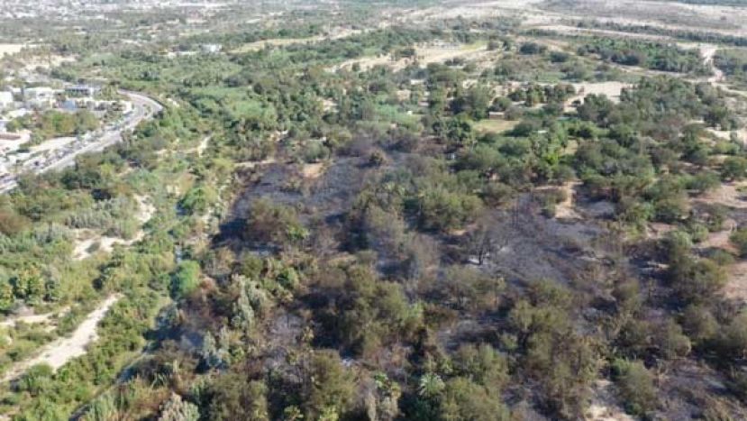 Se registra segundo incendio en Estero de San José del Cabo