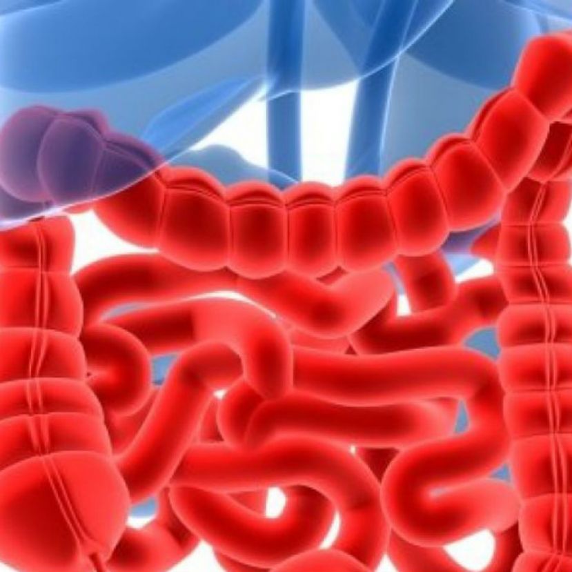 Avanza fármaco vs enfermedad de Crohn