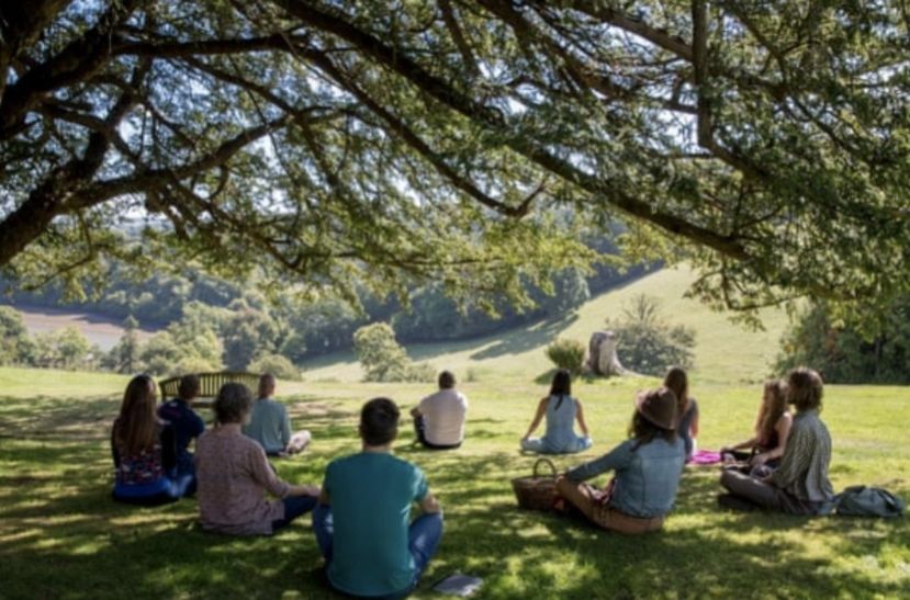 4 casas del árbol para reconectar con la naturaleza