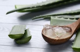 Cuida tu piel con aloe vera