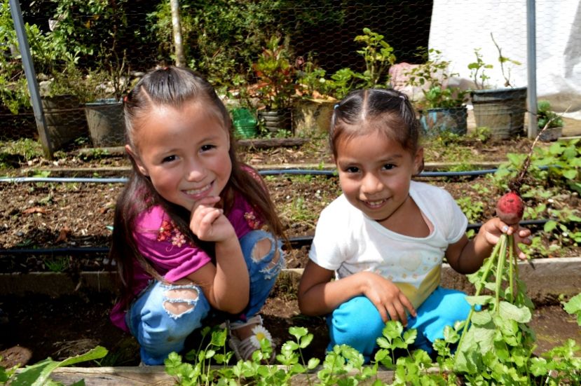 Santander impulsa la educación, salud y nutrición de niños