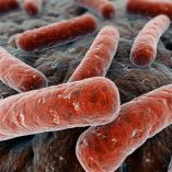 Países se unen para erradicar la tuberculosis