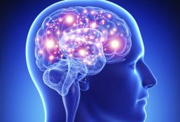 La importancia del cerebro en tu salud