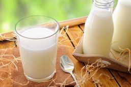 Por qué consumir lácteos
