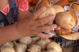 La jícama aporta vitamina C y minerales