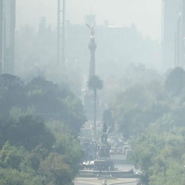 Adiós a la precontingencia ambiental