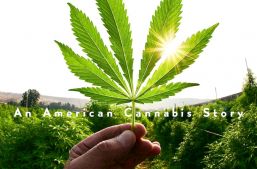 Cannabis, la historia nunca antes vista