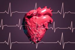 Control cardiológico regular es clave, revela estudio