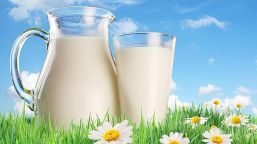Consumo de leche, optima para toda la vida