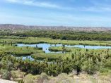 Por primera vez Los Cabos tendrá un parque Paleontológico Temático