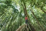 Naturaleza, opción para la salud mental y física