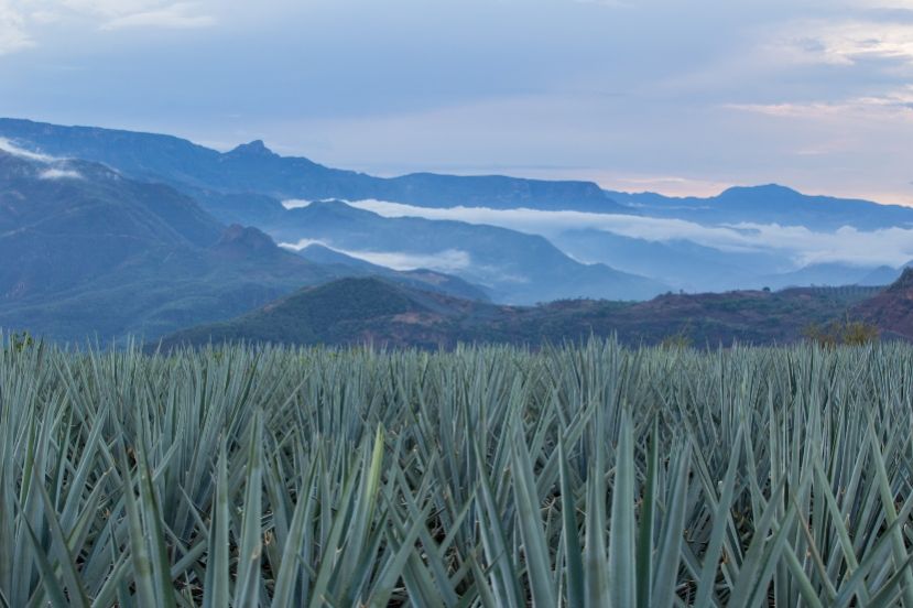 Foto: cortesía.