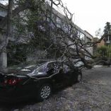 ¿Cómo asegurarse ante fenómenos naturales?