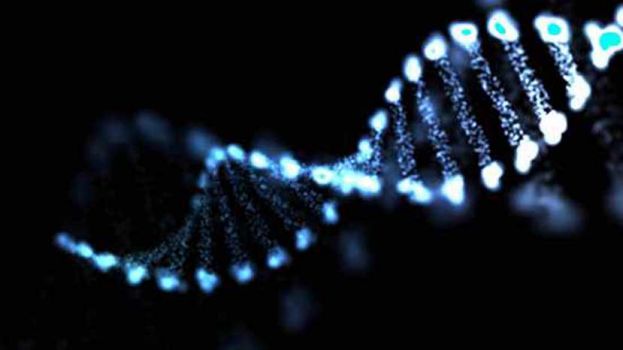 Descubren mutación genética relacionada con el Parkinson