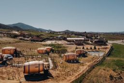 Valle de Guadalupe, destino de destinos